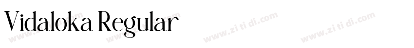Vidaloka Regular字体转换
